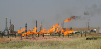 Basrah Medium Crude Prices Rise in January, OPEC Reports