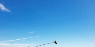 Internationally Recognized Iraqi Films