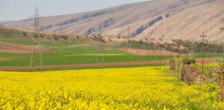 Iraq’s Vibrant Spring
