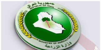 Iraq’s Ministry of Agriculture Launches Olive Seedling Distribution Program