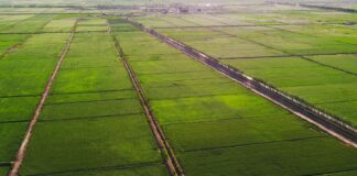 Expanded Agricultural Leasing Program Opens Opportunities for Farmers