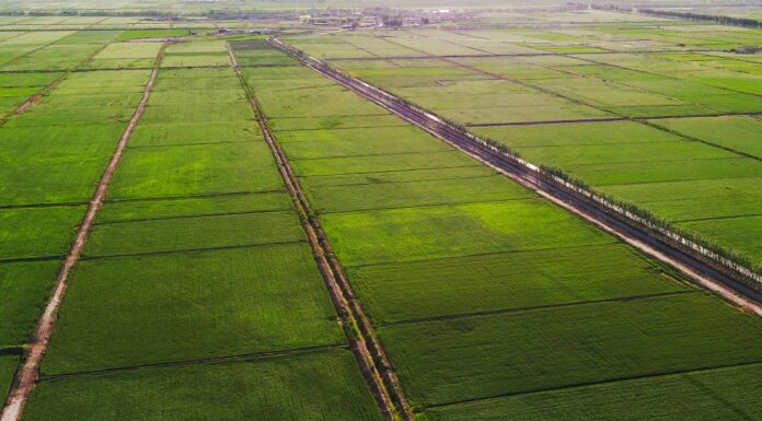 Expanded Agricultural Leasing Program Opens Opportunities for Farmers