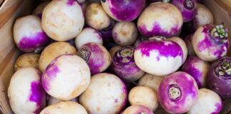 Shalgham (Turnip): A Humble Yet Powerful Vegetable in Iraqi Cuisine