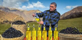 Iraq Achieves Record-High Olive Oil Production in 2025