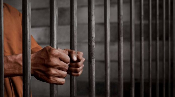 Three Drug Dealers Jailed for Life in Najaf for Drug Trafficking