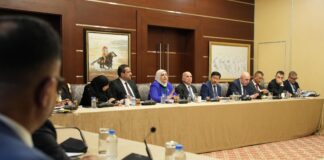 Iraq Sets Deadline for Vehicle Import License Regulation and Budget Plans