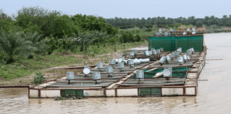 Fish Lake Clearance Operations Continue Strongly in Babylon