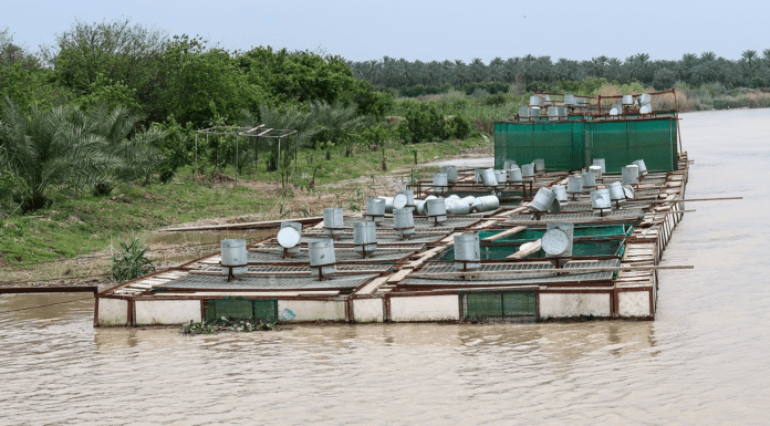 Fish Lake Clearance Operations Continue Strongly in Babylon