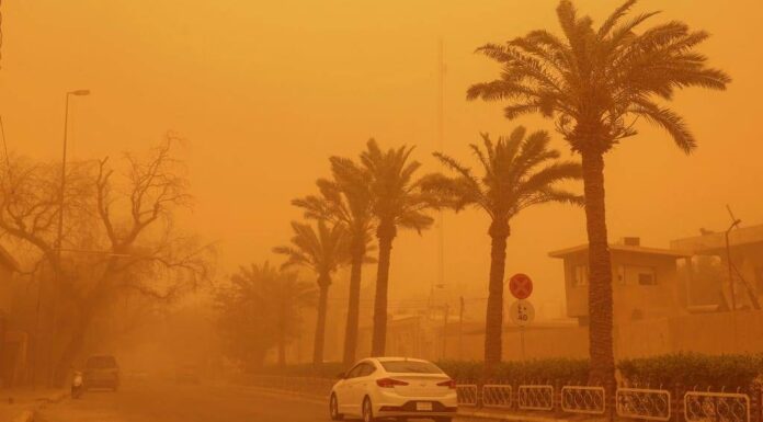 Combating Desertification: A National Plan to Combat Desertification Gains Momentum