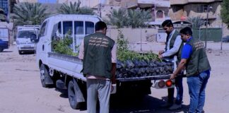 Green Spaces Matter: A Campaign to Reclaim the Environment