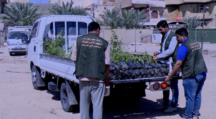 Green Spaces Matter: A Campaign to Reclaim the Environment