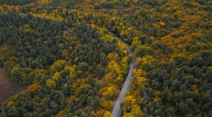 Sand Dune Control Project Expands Across Iraq