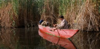 Iraq Supports Wetlands, Not Just Oil