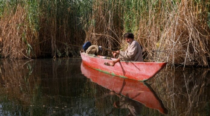 Iraq Supports Wetlands, Not Just Oil