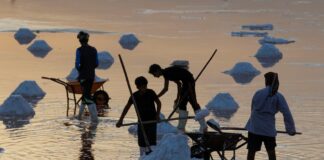 Salt and Climate: A Double-Edged Sword