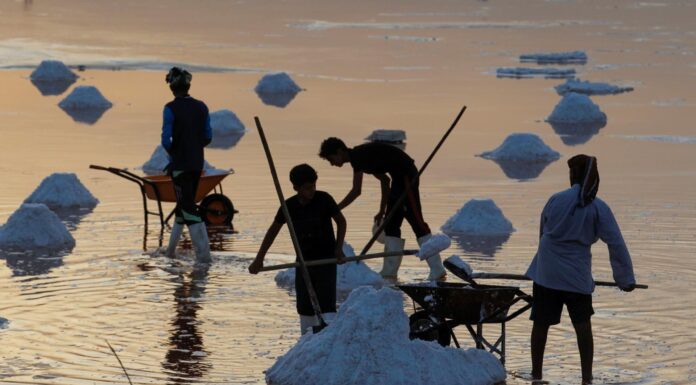 Salt and Climate: A Double-Edged Sword