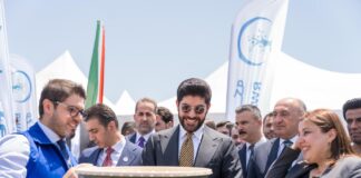 Spanish Olive Tree Project Boosts Green Future