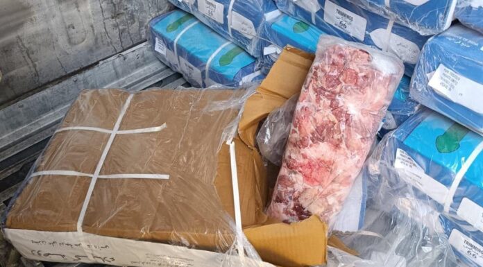 Frozen Meat Scandal Uncovered at Border Port