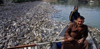 Iraq Battles Worsening Environmental Crisis