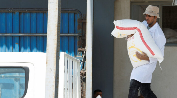 Iraq Cuts Flour Imports with New Milling Plant in Babel