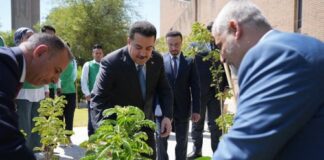 Prime Minister Supports Young Environmental Pioneers Initiative with Tree Planting at Mustansiriya University
