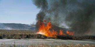 Massive Fires Devastate Hawizeh Marshes, Activists Demand Action