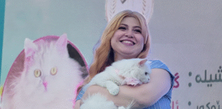 Miss Cats Festival Sulaymaniyah Promotes Pet Care in Annual Celebration