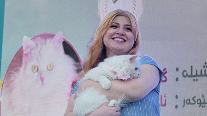 Miss Cats Festival Sulaymaniyah Promotes Pet Care in Annual Celebration