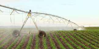 Modern Irrigation System Distribution Boosts Production and Self-Sufficiency in Iraq
