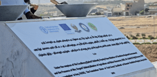 Iraq Builds First Regional Seed Bank