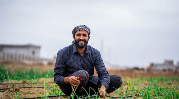 Water Deal with Turkey Boosts Iraq’s Summer Farming