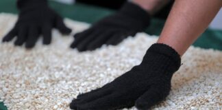 Iraq Supports Lebanon in Dismantling Major Captagon Factory