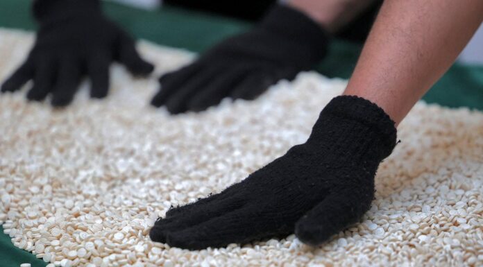 Iraq Supports Lebanon in Dismantling Major Captagon Factory