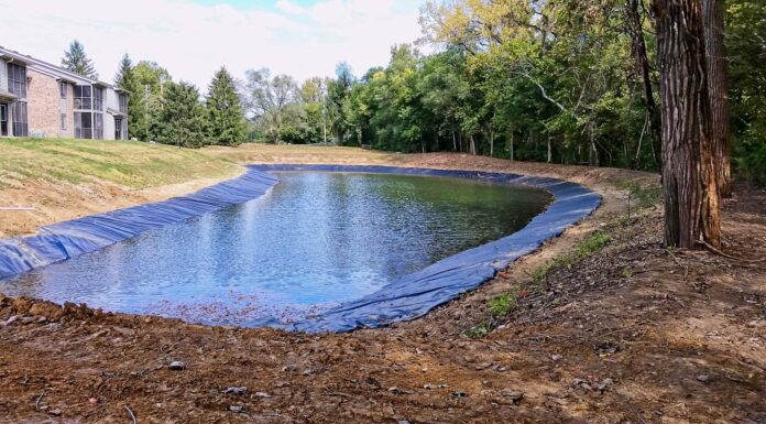Closed Fish Ponds System Boosts Sustainability