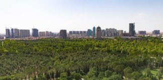 Erbil expands green space with five new public parks
