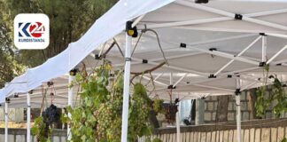 Rawanduz Grape Festival Showcases Local Farmers