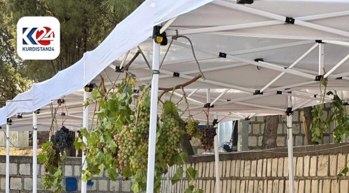 Rawanduz Grape Festival Showcases Local Farmers