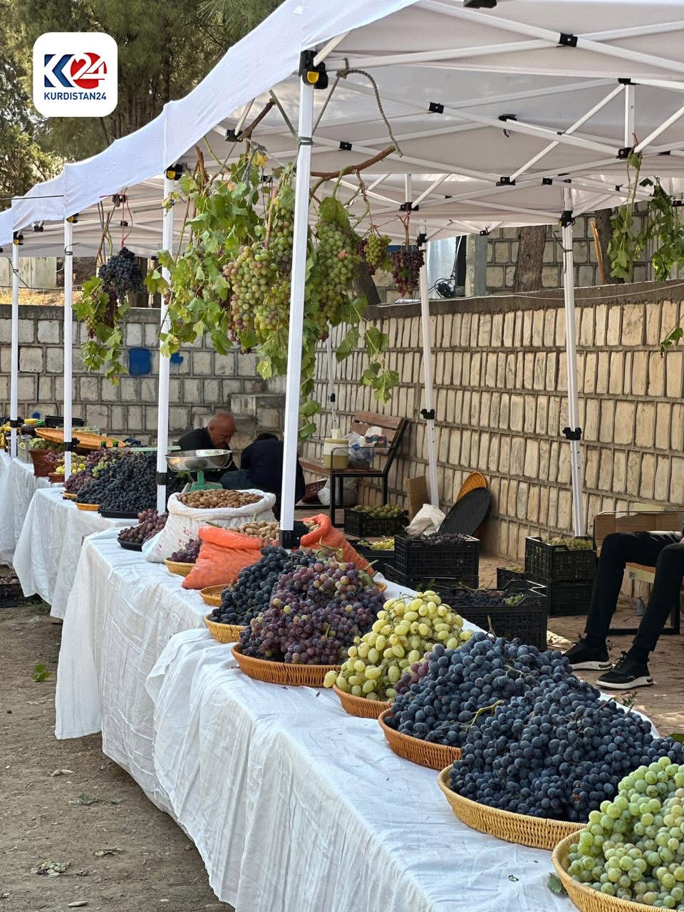Rawanduz Grape Festival Showcases Local Farmers