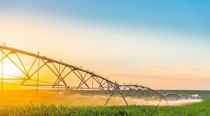 Modern Irrigation Systems Boost Agriculture in Iraq