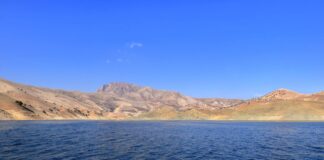 Dukan Lake Fish Release Supports Environment