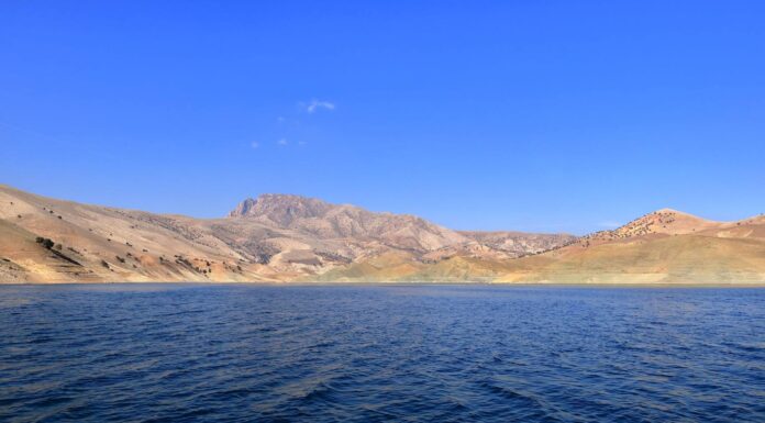 Dukan Lake Fish Release Supports Environment