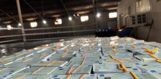 Iraq Arrests 46 Over Voter Card Fraud Ahead of Crucial Elections