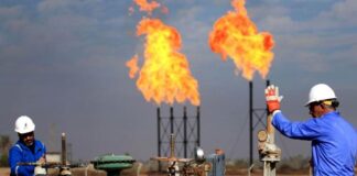 Iraq Gas Sector Growth Boosts Exports and Energy Self-Sufficiency