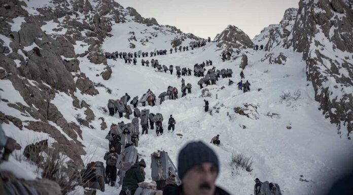 The Harsh Reality of Kolbar Border Survival