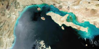 Brent Surges Above $80 Amid Strait of Hormuz Tensions