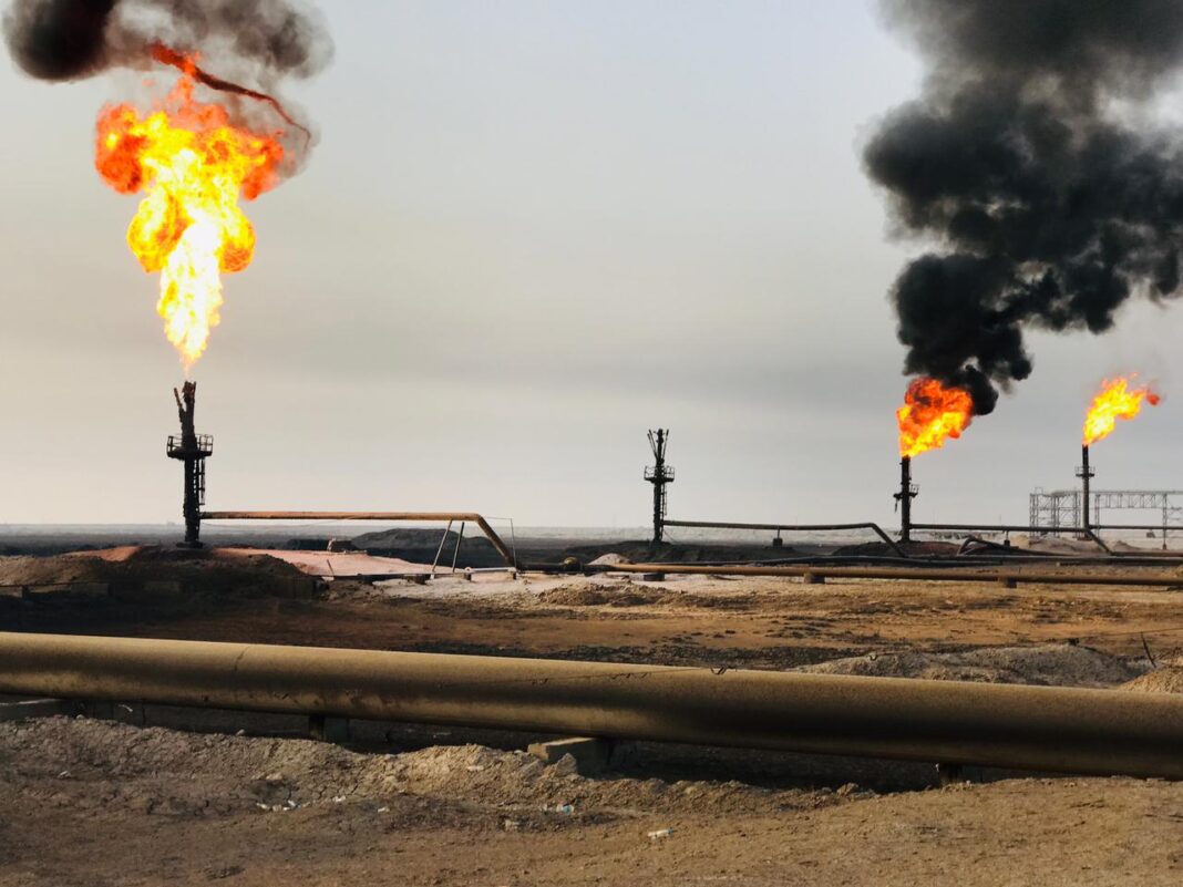 Iraq-Brazil Trade Gap Hits $1.48B Amid Rising Brazilian Exports