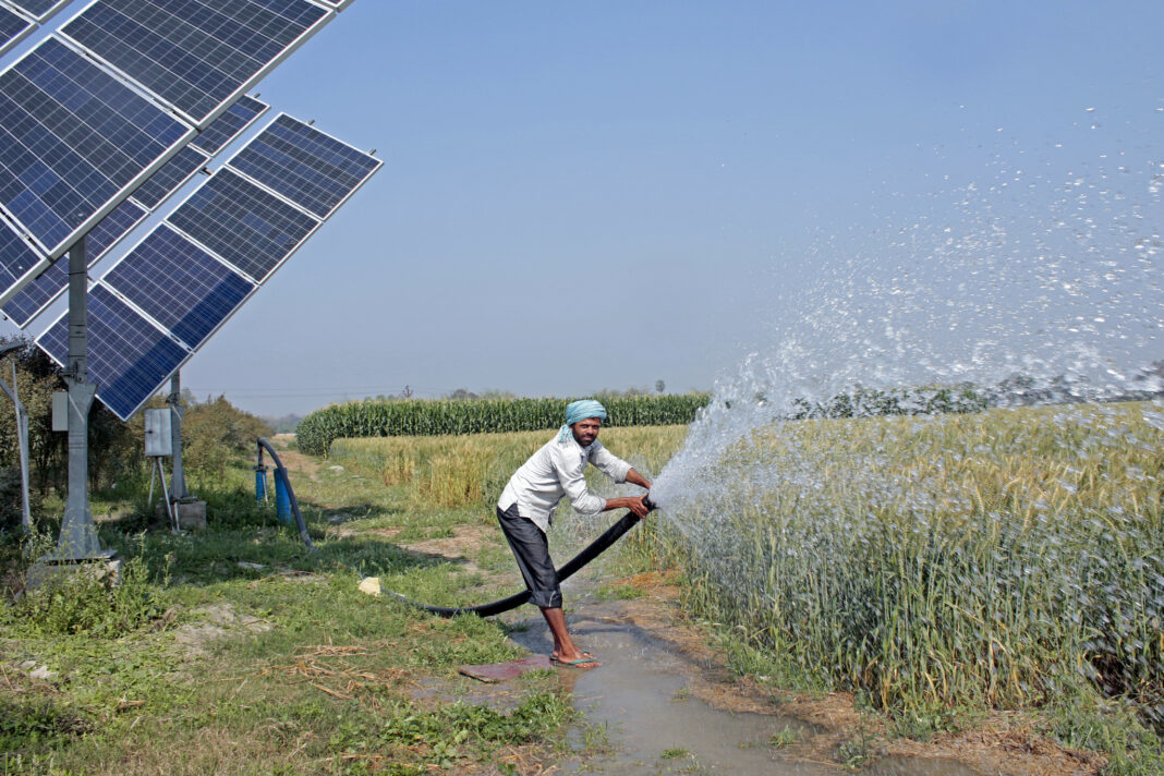 Iraq Expands Smart Farming Plan to Protect Rice Production