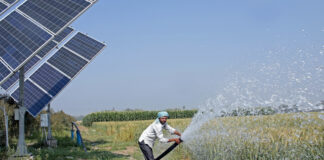 Iraq Expands Smart Farming Plan to Protect Rice Production