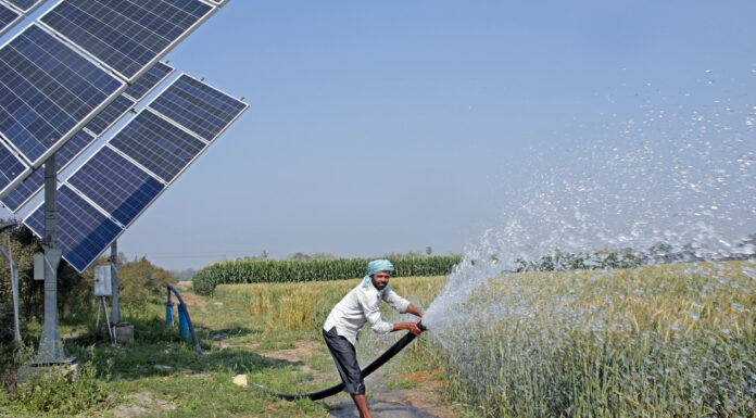Iraq Expands Smart Farming Plan to Protect Rice Production