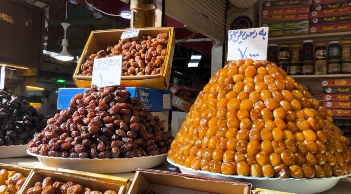 Iraq’s Date Industry Eyes Europe in Major Export Push